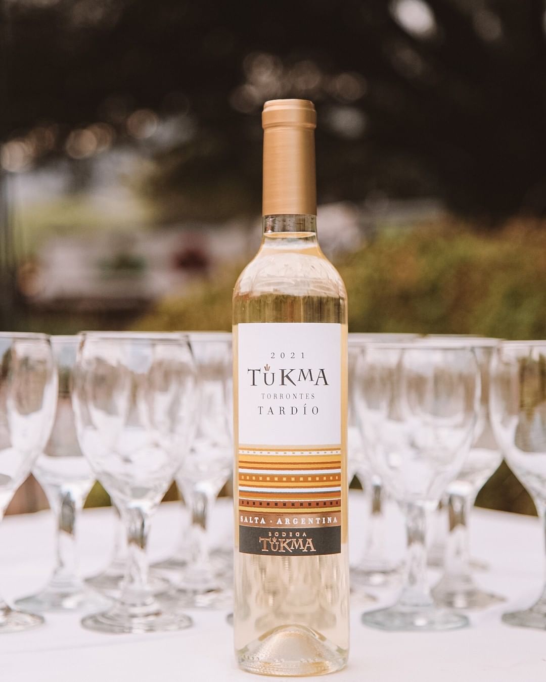 デザートワイン】トロンテス・タルディオ 500ml / Torrontés Tardío
