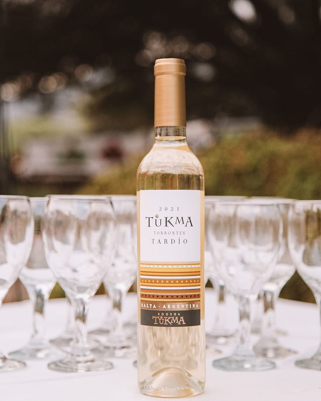 【デザートワイン】トロンテス・タルディオ  500ml / Torrontés Tardío