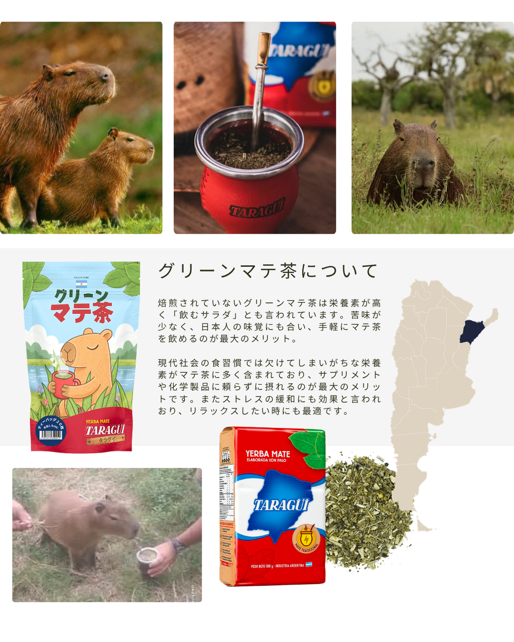 グリーンマテ茶ティーバッグ １袋 (20個入)<br> Mate cocido (20 saquitos)