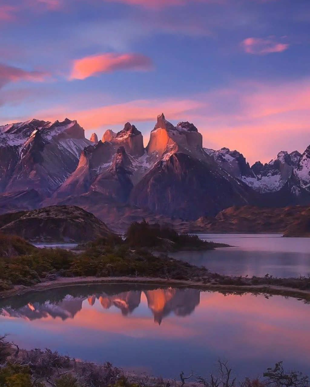 パタゴニアワイン レセルヴァ ピノ･ノワール 750ml / Reserva Pinot Noir