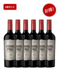 【6本セット】Buenos Aires Malbec / ブエノス・アイレス マルベック 750ml x 6 set