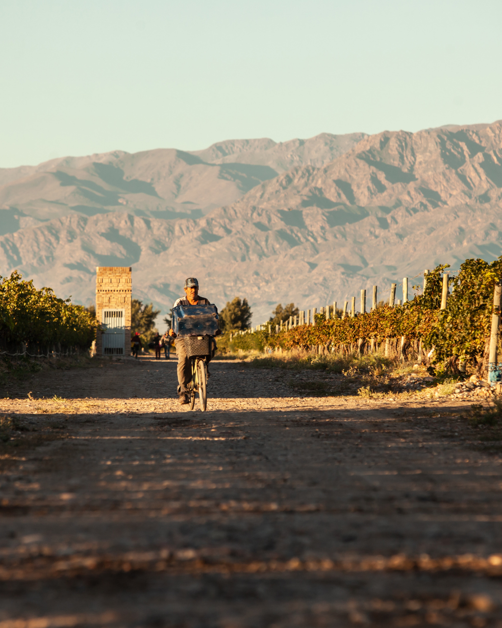 期間限定！【2x1】BUENOS AIRES MALBEC 1本ご購入でもう1本無料！